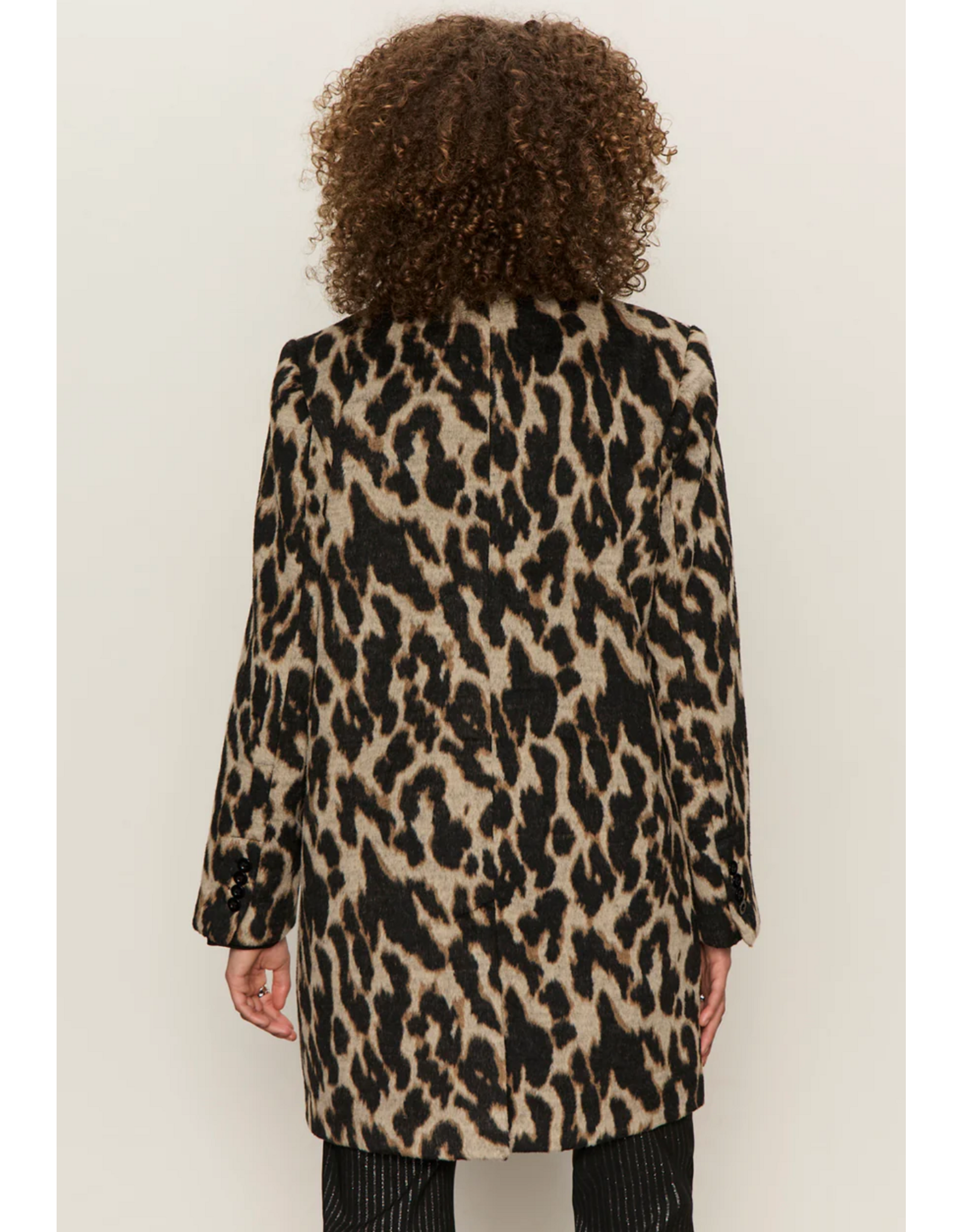 SANCTUARY:: DOWNTOWN JACKET