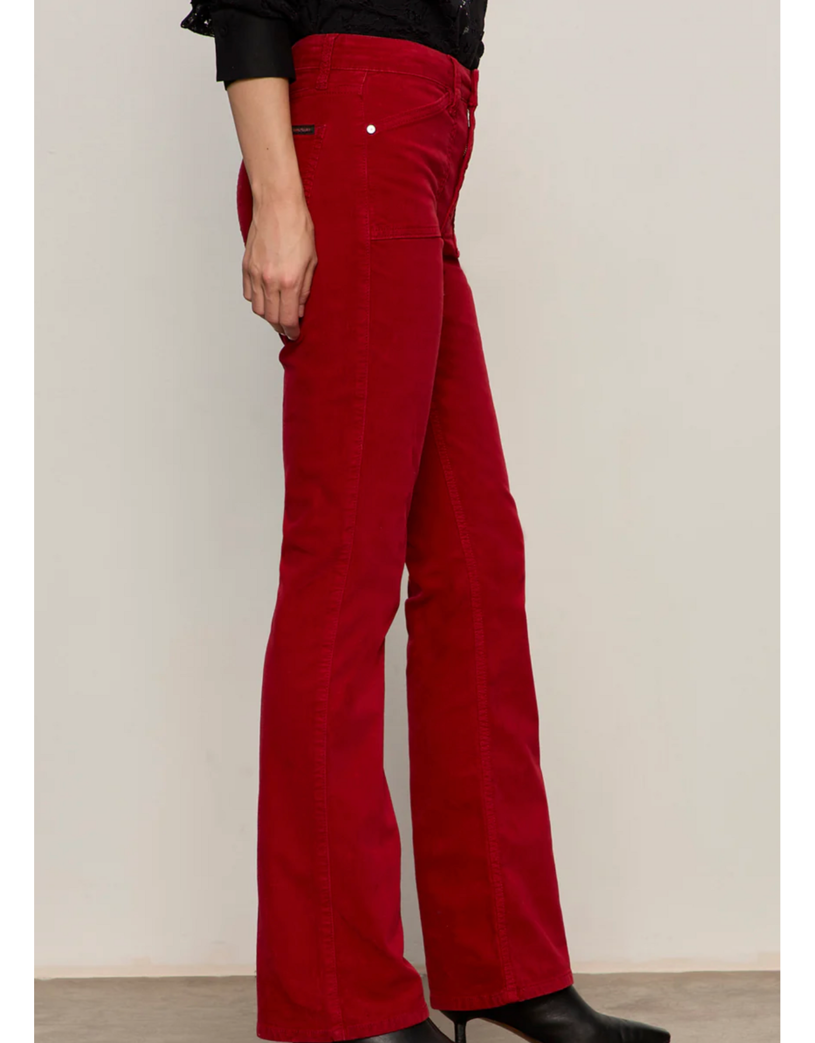 SANCTUARY:: VELVETEEN BROOK BOOTCUT PANT