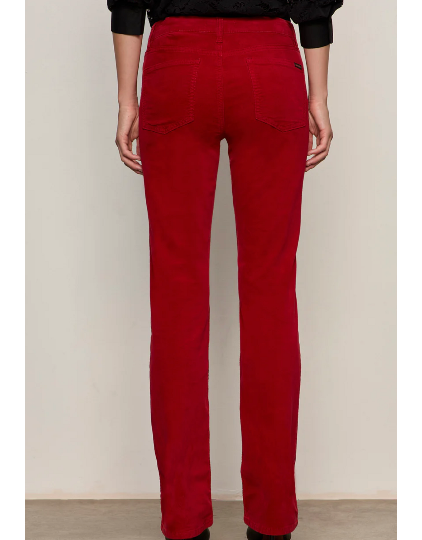 SANCTUARY:: VELVETEEN BROOK BOOTCUT PANT