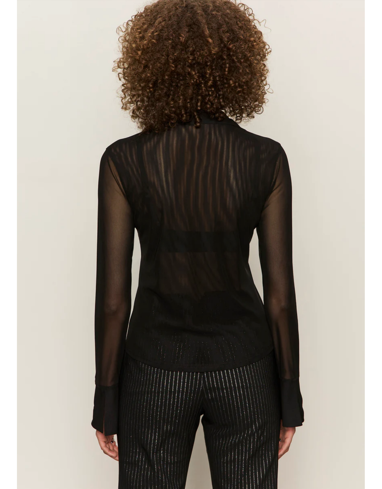 SANCTUARY:: DREAMLAND RUFFLE TOP