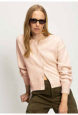 SANCTUARY:: MUST HAVE CARDI