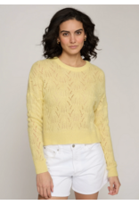 AUTUMN CASHMERE AUTUMN CASHMERE:: ALL OVER POINTELLE CREW