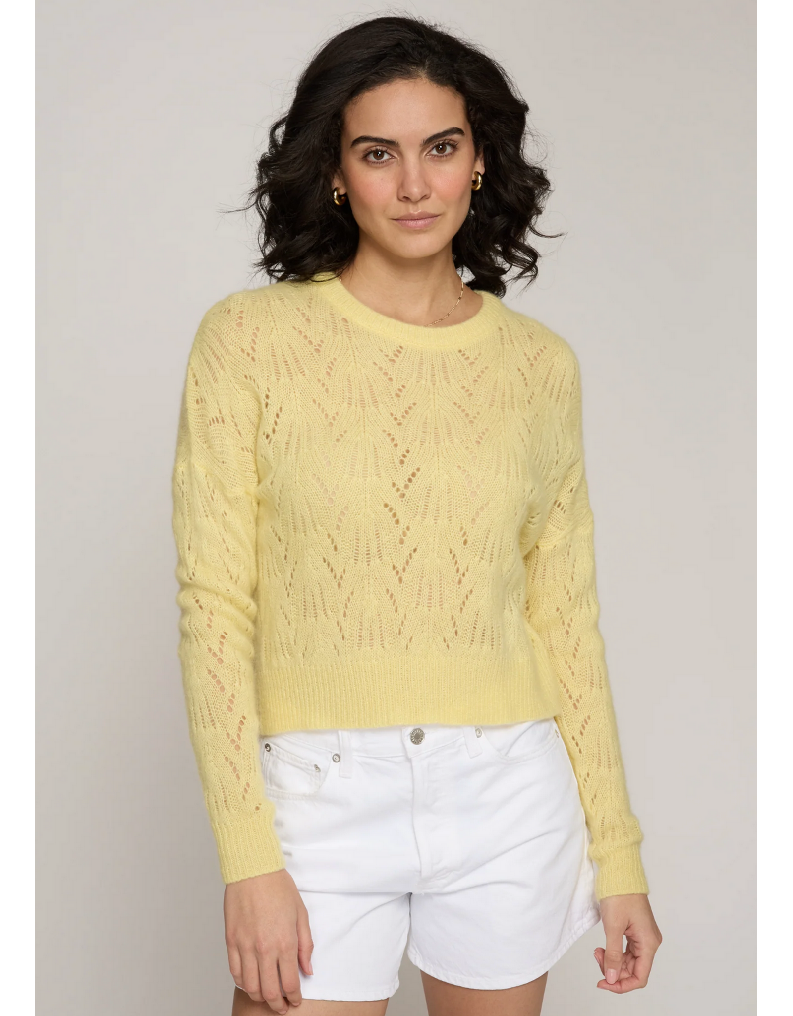 AUTUMN CASHMERE AUTUMN CASHMERE:: ALL OVER POINTELLE CREW