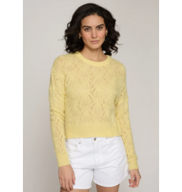 AUTUMN CASHMERE AUTUMN CASHMERE:: ALL OVER POINTELLE CREW