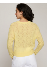 AUTUMN CASHMERE AUTUMN CASHMERE:: ALL OVER POINTELLE CREW