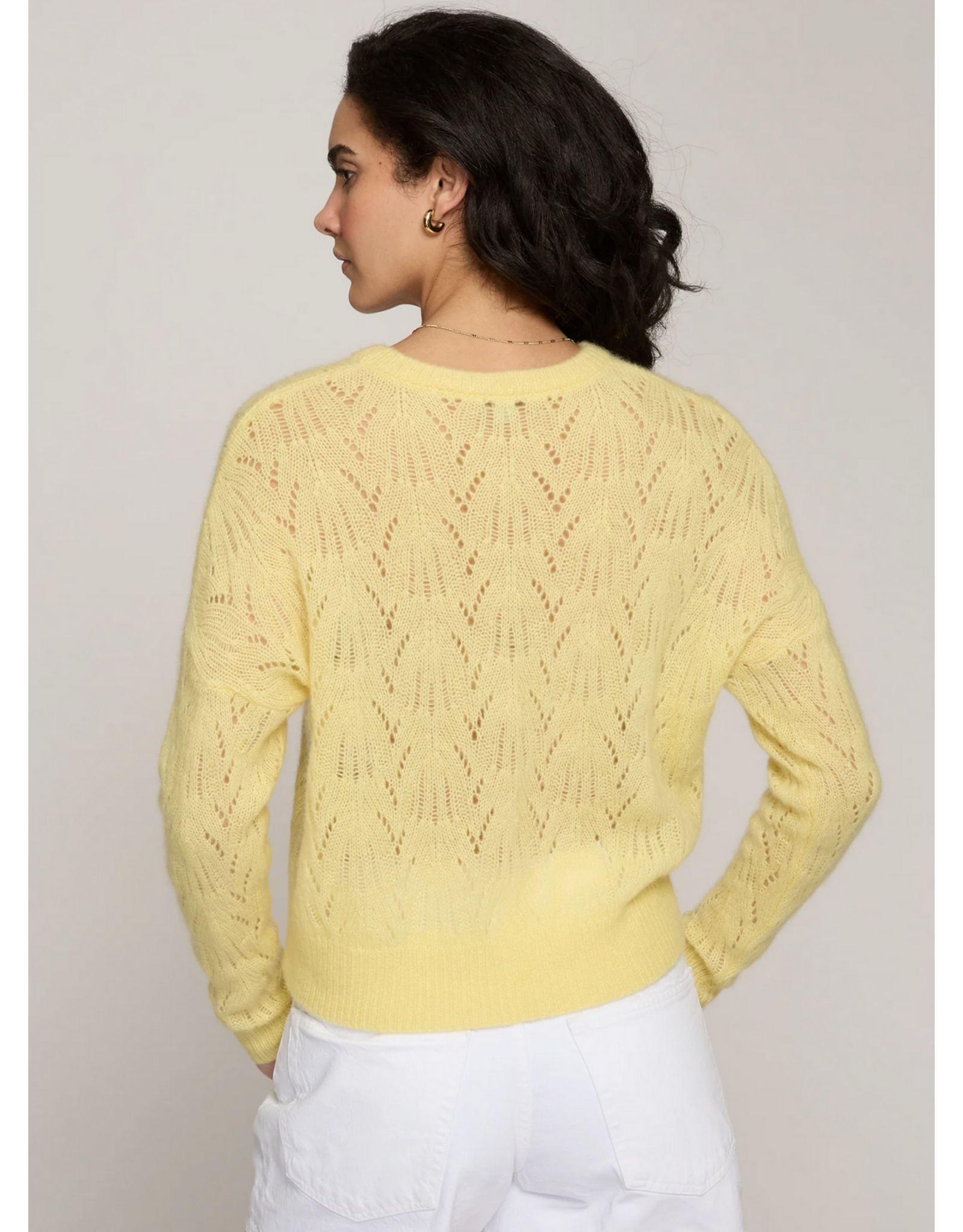 AUTUMN CASHMERE AUTUMN CASHMERE:: ALL OVER POINTELLE CREW