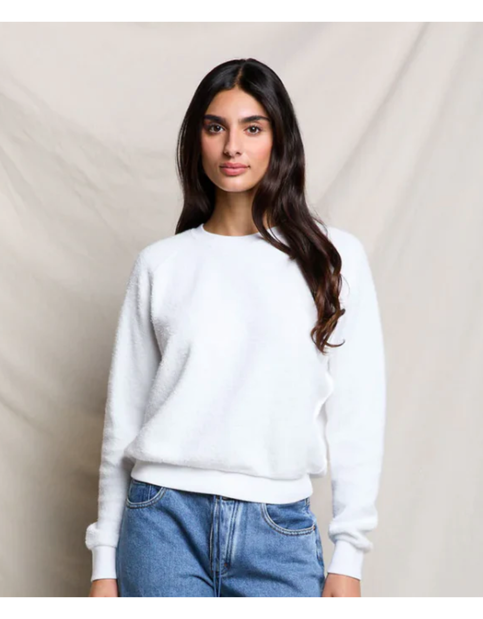 Perfect White Tee PERFECT WHITE TEE:: ZIGGY SWEATSHIRT