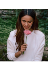 Perfect White Tee PERFECT WHITE TEE:: ZIGGY SWEATSHIRT