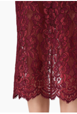 CAMI NYC CAMI NYC:: OSMOND LACE MIDI SKIRT
