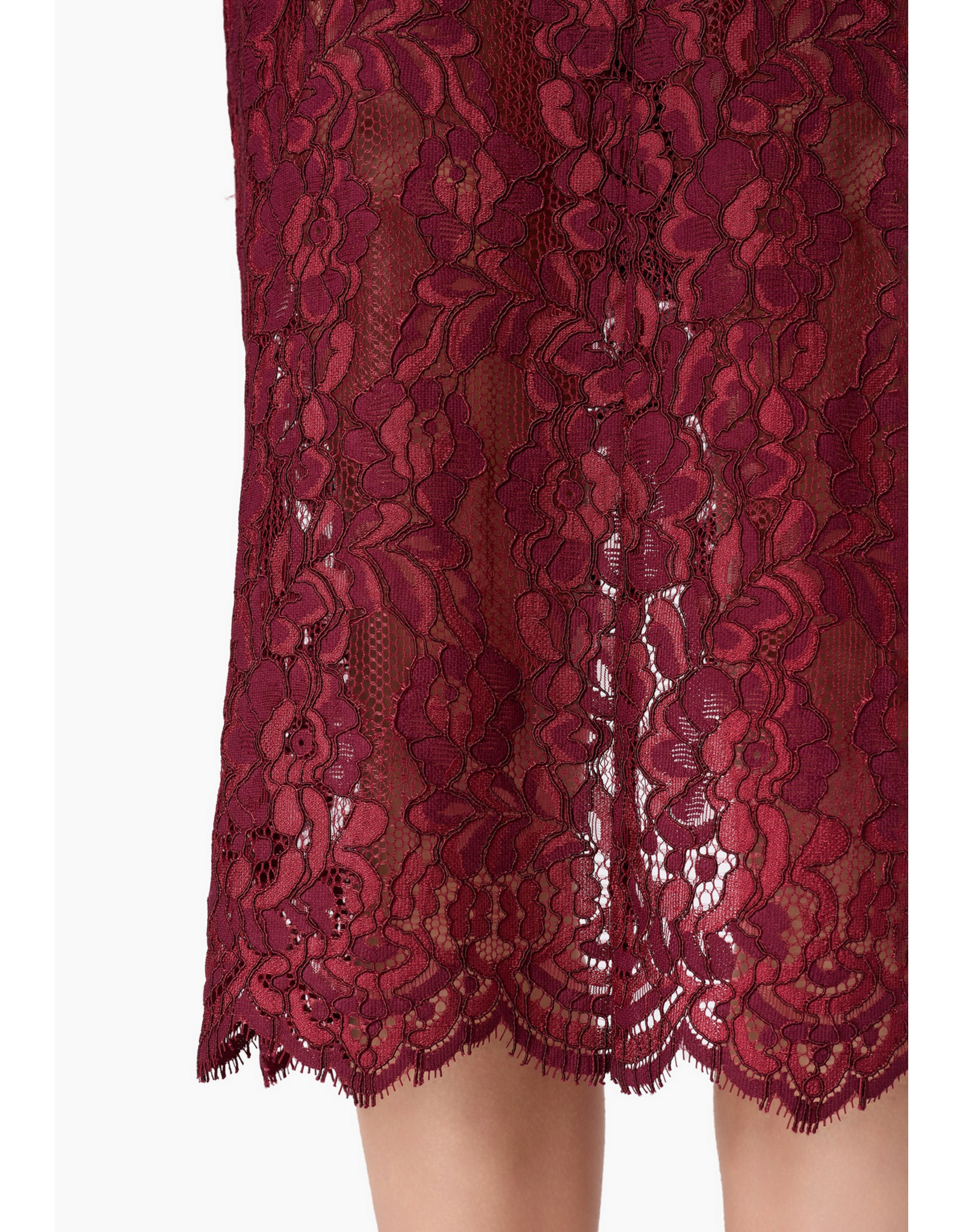 CAMI NYC CAMI NYC:: OSMOND LACE MIDI SKIRT