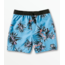 Volcom Boardshort Earthly Delight