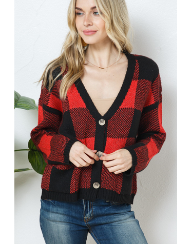 Cozy Co Gingham Vneck Sweater w/Patch