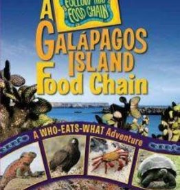 Rebecca Wojahn A Galapagos Island Food Chain