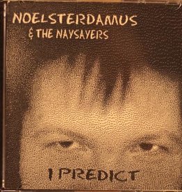 Noelsterdamus & the Naysayers I Predict