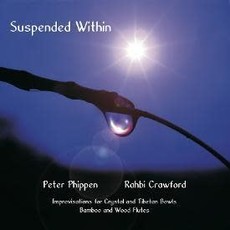 Peter Phippen Suspended Within