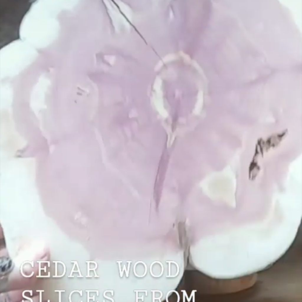 Tree Purpose of Eau Claire Cedar Round - Wood Slice (Large)