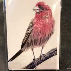 Amy Beidleman Bird Greeting Card- Thinking of you