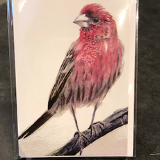 Amy Beidleman Thinking of you - Greeting Card