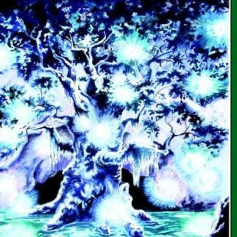 Aaseng Nathan Realm Law