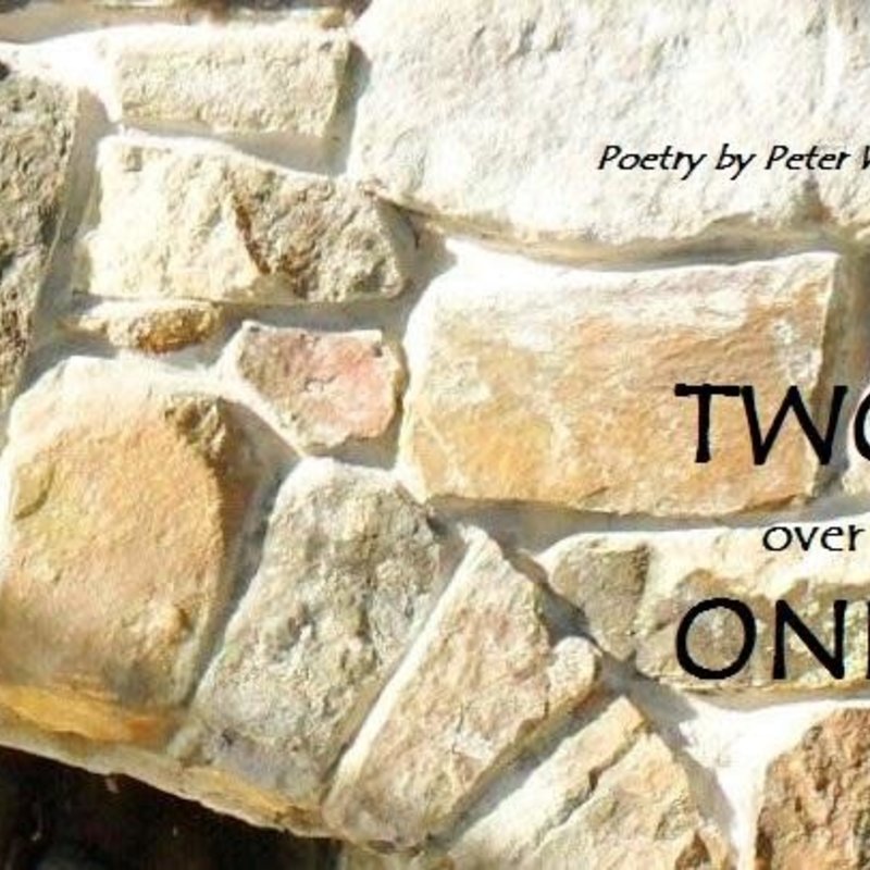 Werner Peter Two Over One