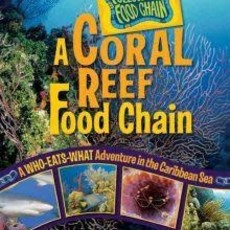 Rebecca Wojahn A Coral Reef Food Chain