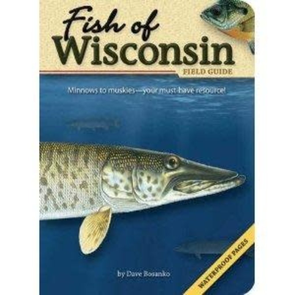 Bosanko Dave Fish of Wisconsin Field Guide