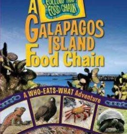 Wojahn Rebecca A Galapagos Island Food Chain