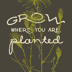 Volume One Grow Where You Are Planted Print
