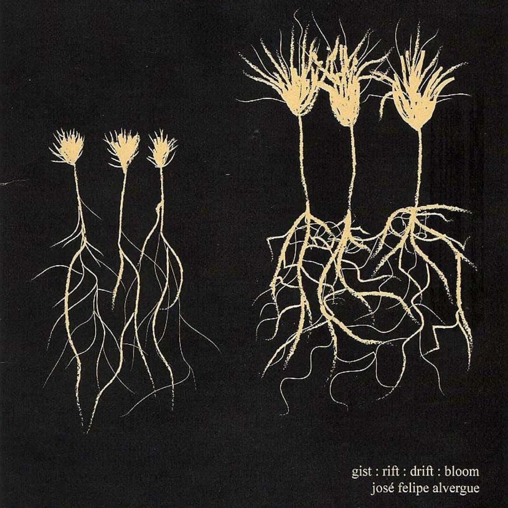 Alvergue Jose Gist:Rift:Drift:Bloom