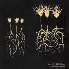 Alvergue Jose Gist:Rift:Drift:Bloom