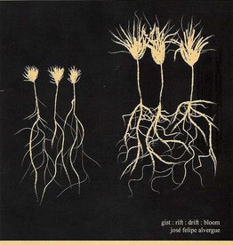 Alvergue Jose Gist:Rift:Drift:Bloom