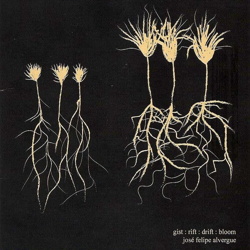 Alvergue Jose Gist:Rift:Drift:Bloom