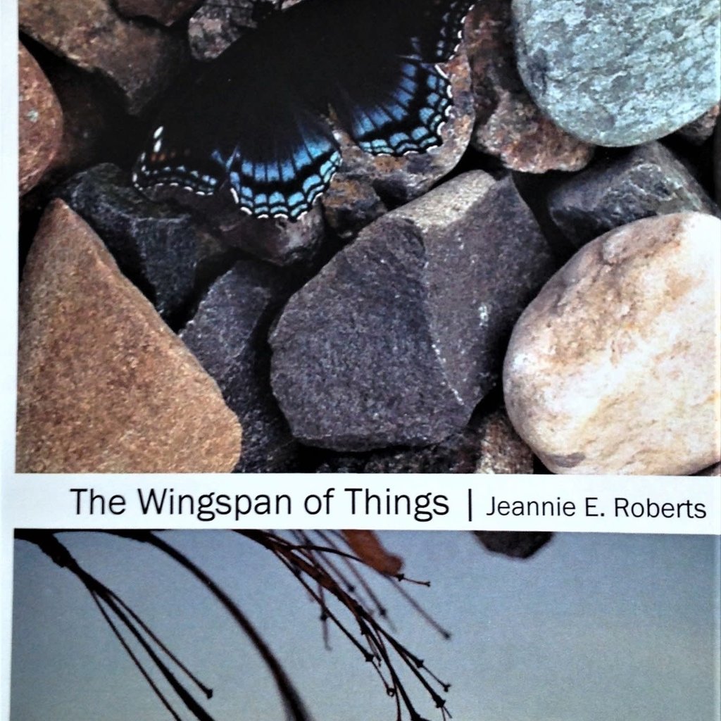 Jeannie E Roberts The Wingspan of Things