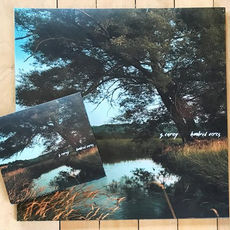S. Carey Hundred Acres (LP)