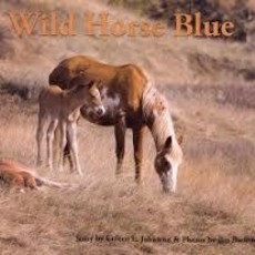 Backus Jim Wild Horse Blue