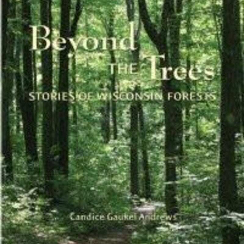 Candice Gaukel Andrews Beyond the Trees