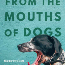 Hollars BJ From the Mouths of Dogs