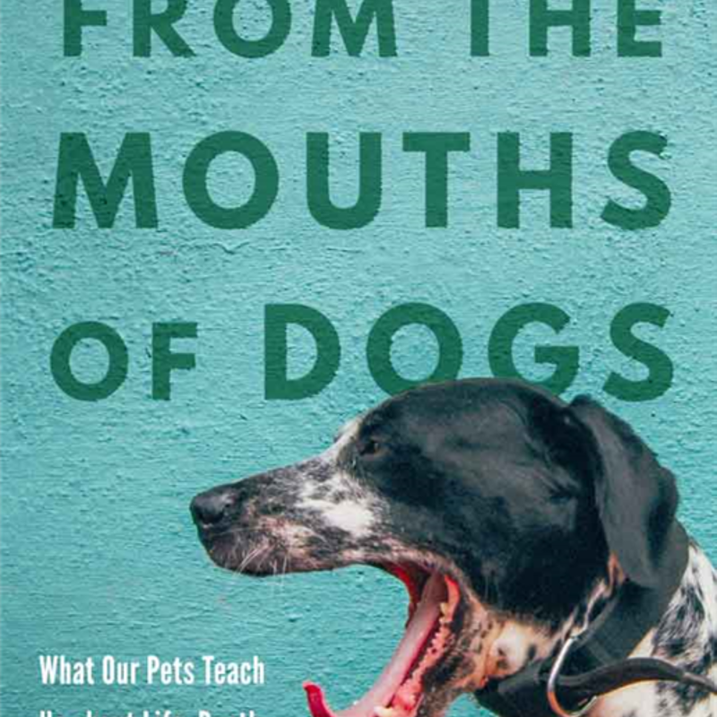 Hollars BJ From the Mouths of Dogs