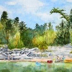 Amy Beidleman Big Falls Greeting Card