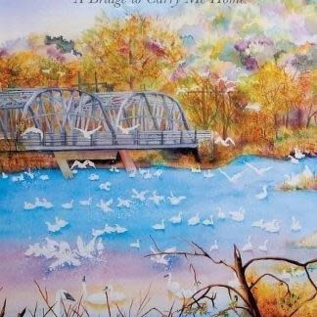 Olson Priscillamae When I Stumble in Life's Storm