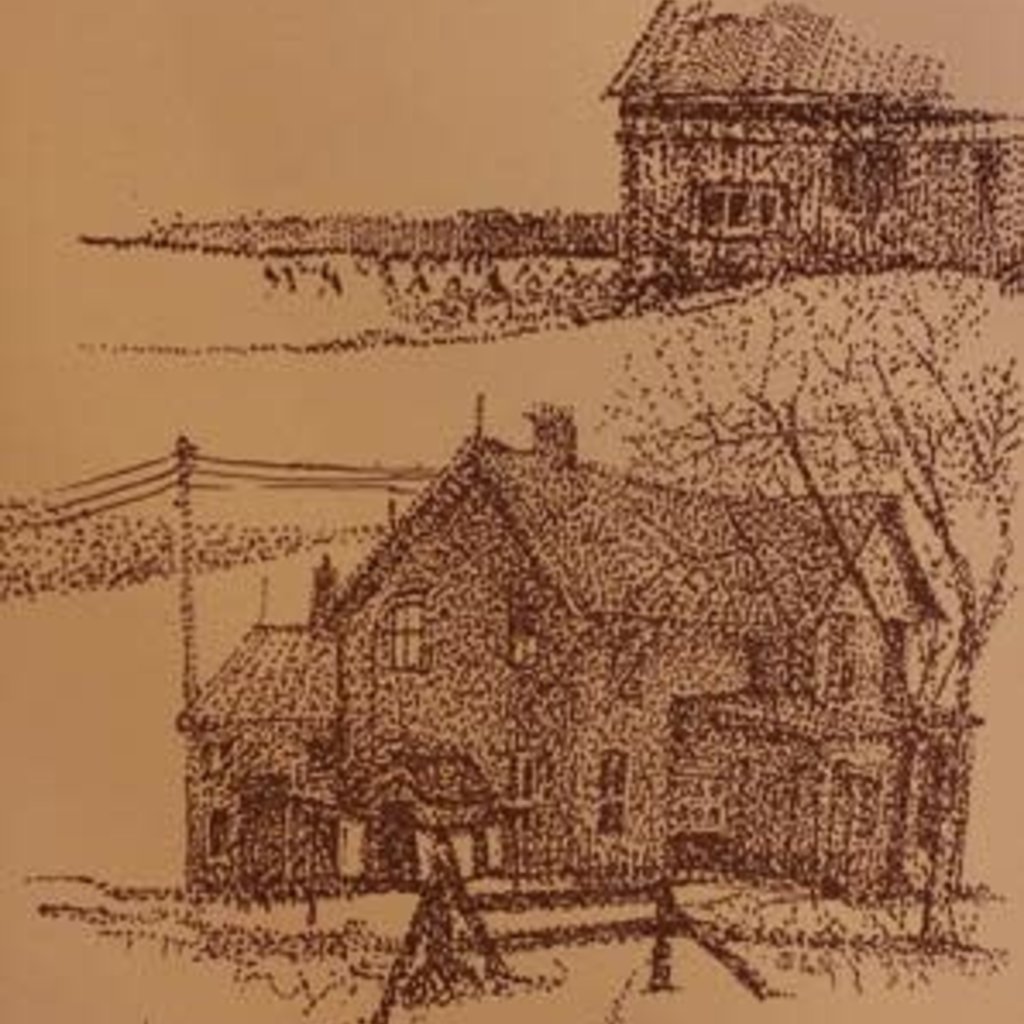 Lindow Sandra Rooted in the Earth