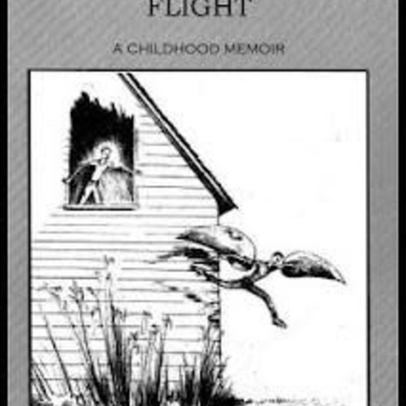 Werner Peter The Dawn of Human Powered Flight