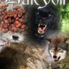 Comerford Kevin Beyond Halcyon