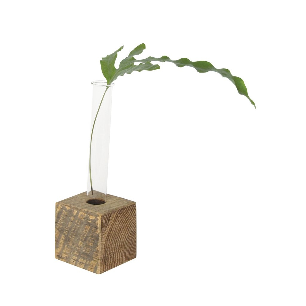 Propagation Vase Single The Local Store