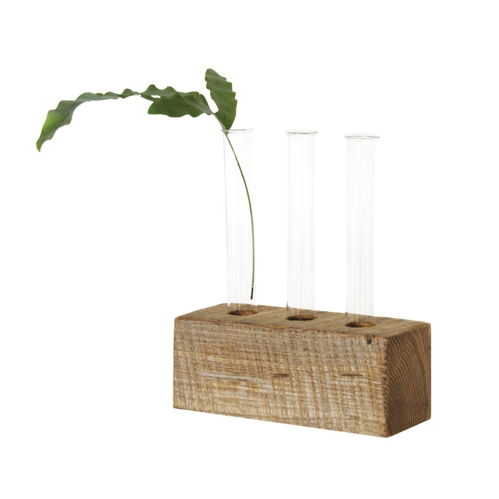 Propagation Vase Set of Three The Local Store