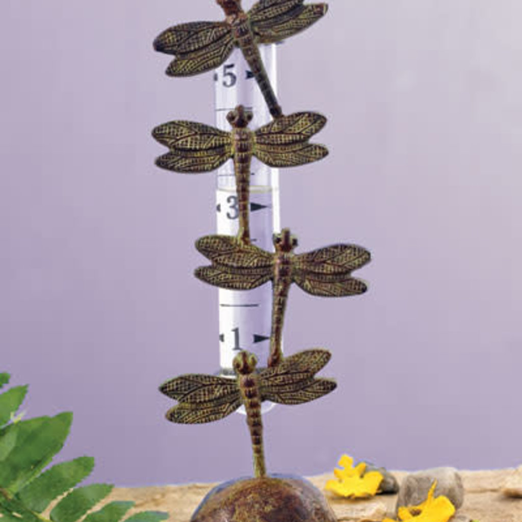Volume One Rain Gauge - Dragonfly