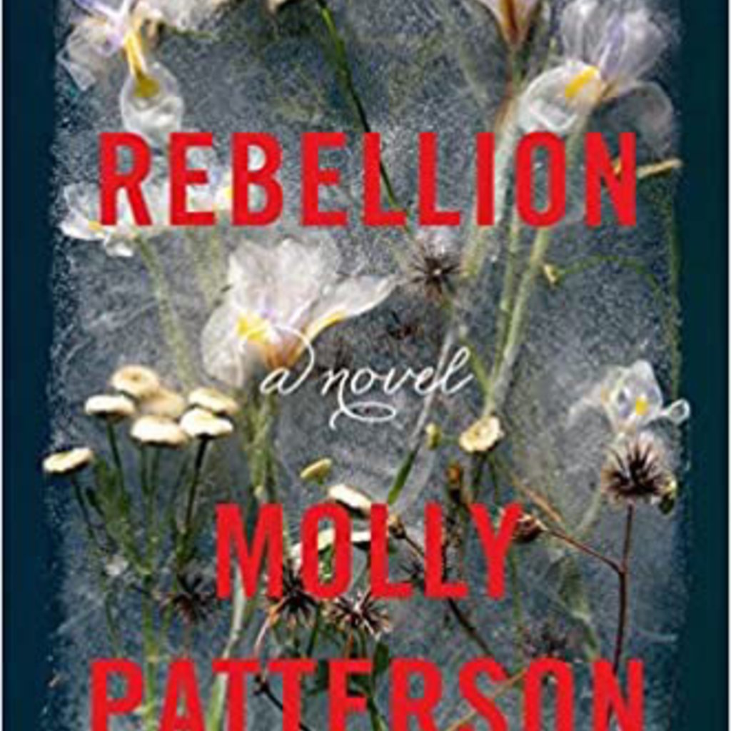 Rebellion (Hardcover)