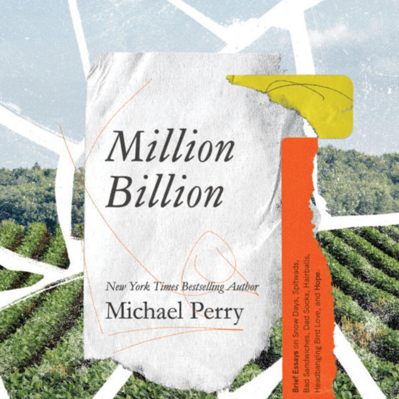 Michael Perry Million Billion