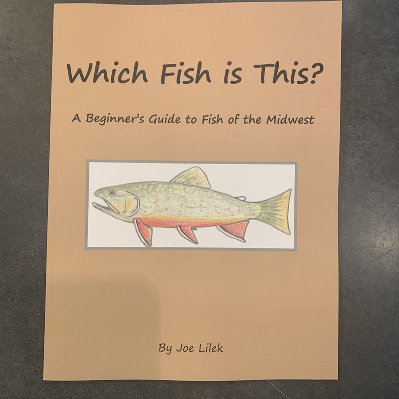 Lilek Joe Which Fish is This?