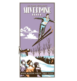 Volume One Vintage Tourism Poster - Silvermine Ski Hill